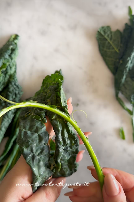 pulire il cavolo nero per fare il pesto di cavolo nero